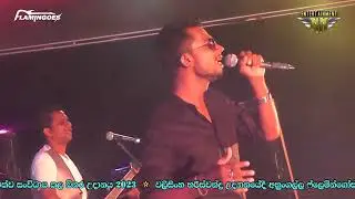 නිතර ඇහෙන්නේ නැති රජ සින්දු තුෂාර ධනංජය ෆ්ලෙමින්ගෝස් රහට Thushara Dananjaya live
