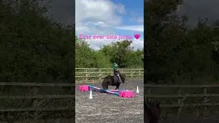 #fouryearsold #shetlandpony #horse #equestrian #ourteddytheshetland #shorts #showjumping