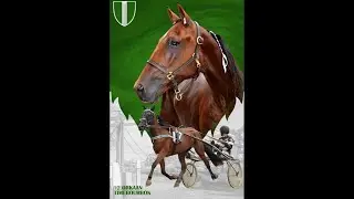 Orkaan Timebourbon