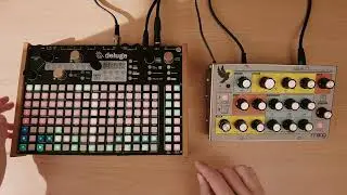 Synthstrom Deluge & Moog Sirin