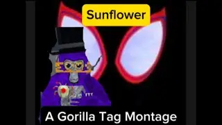 Sunflower | A Gorilla Tag Montage