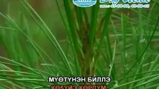 Мутукча Сыта