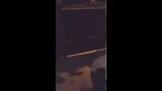 Весна или нет??