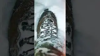 Full Cards and Full Hard Drives  #cameraman #wildlifephotoghraphy #photographer #hunting