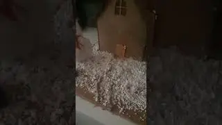 7-C dehaları🤩