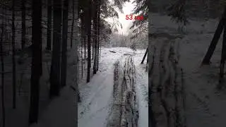 За дровами на МТЗ-82