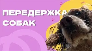 КАК БРАТЬ НА ПЕРЕДЕРЖКУ? Основные правила
