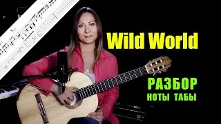 Wild World - Cat Stevens | Разбор на гитаре
