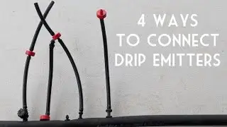 Desert Gardening Basics: How to Install Drip Emitters