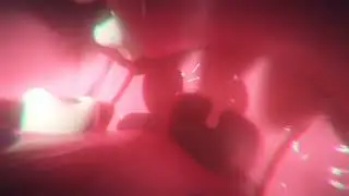 Furry vore pov (macro) 