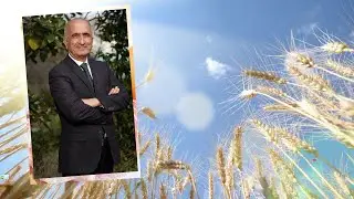 HASTA OLMAMAK İÇİN, HASTA OLUNCA DAHA ÇABUK İYİLEŞMEK İÇİN GÜN IŞIĞI