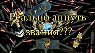 Реально ли апнуть звания?!CS:GO.
