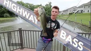 HIDDEN highway pond holds bass!