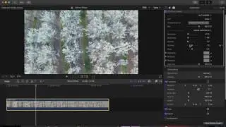 Load LUTs in Final Cut Pro X!