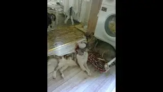 Рекомендую 18+ Не везет в любви и ли работе,есть ли на вас негатив? Проверим картами Скляровой