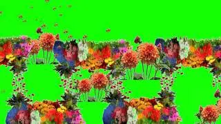 Flower animation green screen background effects video