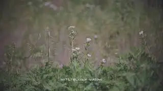 4K 슈나이더 True net Black 2 FILTER 비교샘플 4