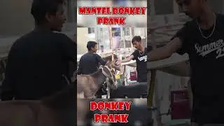 Donkey Prank🔥🔥🔥