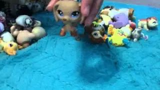 LPS TRADE! *OPEN*