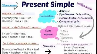 Present simple. Краткий обзор теста.