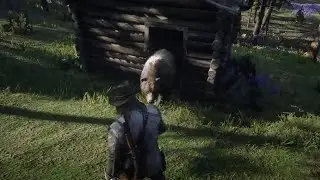 How did that bear get in there?