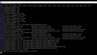 Red Hat Linux Introduction to Docker 