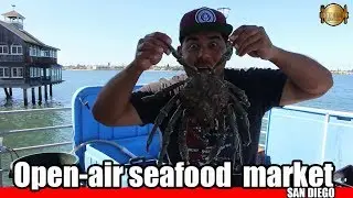 Open-air seafood market in San Diego