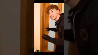комната дани милохина