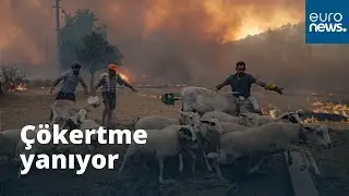 Çökertme yanıyor: Halkın çabaları yetersiz kaldı, alevler evlere sıçradı