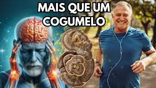 Por que Cogumelo Cauda de Peru é tão Poderoso? Benefícios, ativos, estudos do trametes versicolor