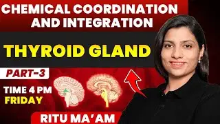 Thyroid Gland | Chemical Coordination and Integration Detailed class 03 | Ritu Rattewal