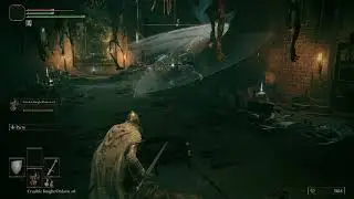 Elden Ring Dragon Knight Series 4 - Tarnished and Crucible Knight vs Grafted Scion in Stormveil