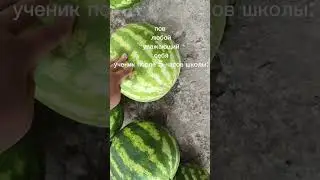 Видео не мое монтаж мой