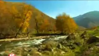 КАРАЖОРҒА  от ( КТК )!
