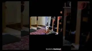 когда забыл сделать дз.муд