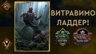 Гвінт. Багатій на Накері. Патч 10.8. Гайд + бої