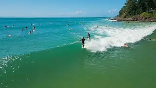 Best of Noosa Surfing (2024) - Longboarding Paradise