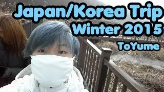 VLOG: 2015 Japan/Korea Winter Trip