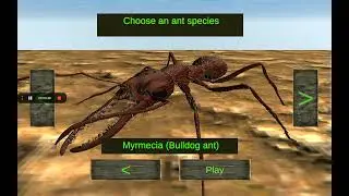All animation of every ant in ant simulator