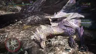 When you pick the "support weapon" | Monster Hunter World