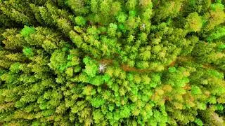 DJI Mavic Air 2 - Coast
