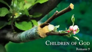 09/22/2024   Children of God