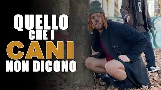 Quello che i CANI non dicono
