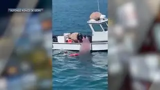 Drowning investigation following death of woman found in the water near Stearns Wharf