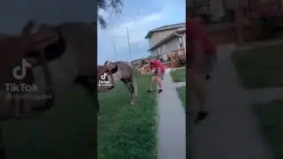 Teziroq kuring bunaqasi holi bulmagan