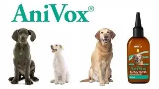 Användning av AniVox Öronsköljmedel