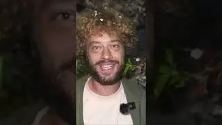 Стасик Кудрявый оскорбил христиан и теперь ему грозит тюрьма 
