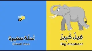 أغنية المعكوسات و الأضداد للأطفال | Opposite words in Arabic for kids
