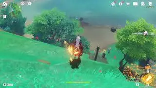 Thanks For The Help Bro. (Genshin Impact)