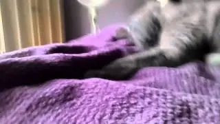 You can't sleep can you?